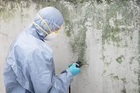 Best HVAC Mold Inspection and Cleaning  in Osakis, MN